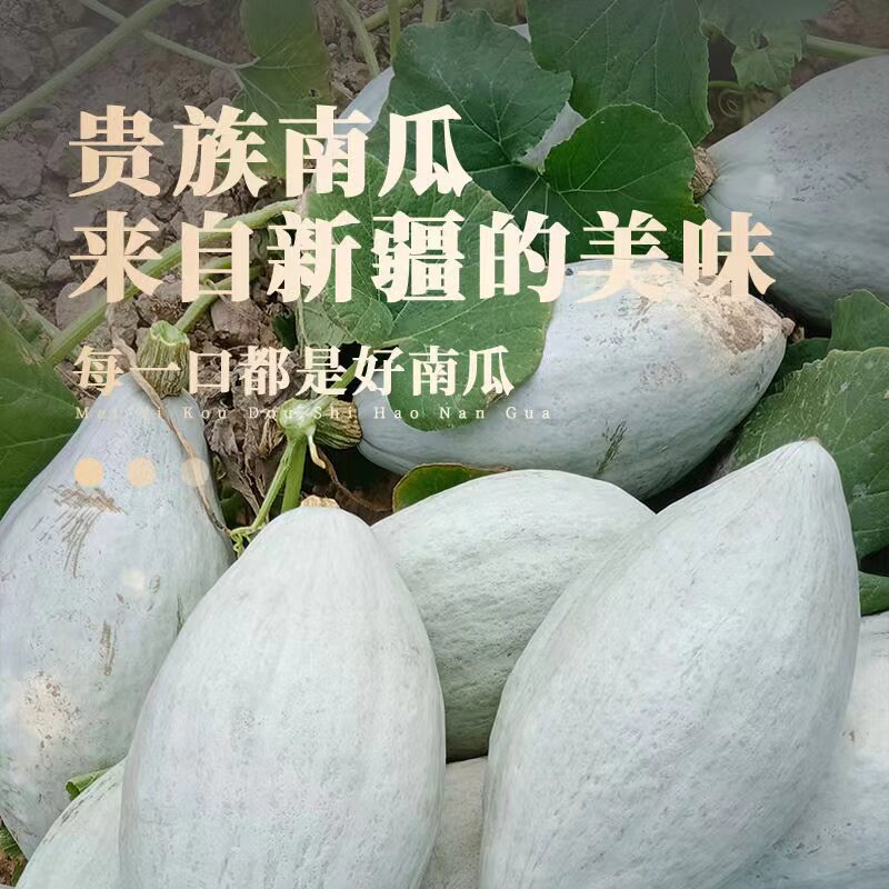 新疆贵族南瓜丑瓜金丝栗沙漠银板栗老南瓜宝宝辅食贝贝南瓜包邮