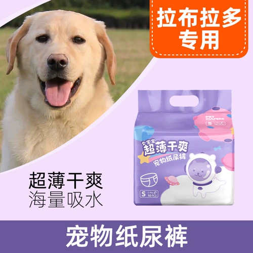 Особые собачьи пленки Специальные собаки Лабрадора подгузники, моча, диуретические собаки, собаки, собаки, опасности с санитарными салфетками для полотенец на тетере