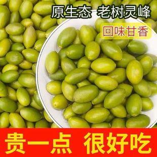 甜种小个子灵峰橄榄生吃煲汤止咳潮汕香榄新鲜青果檀香凌峰孕妇