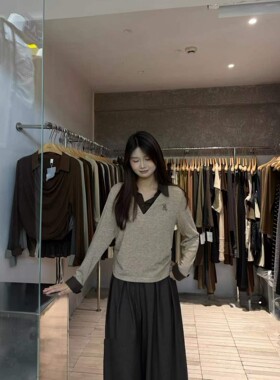 2026秋季新款韩版时尚百搭polo领小刺绣显瘦长袖假两件女休闲上衣
