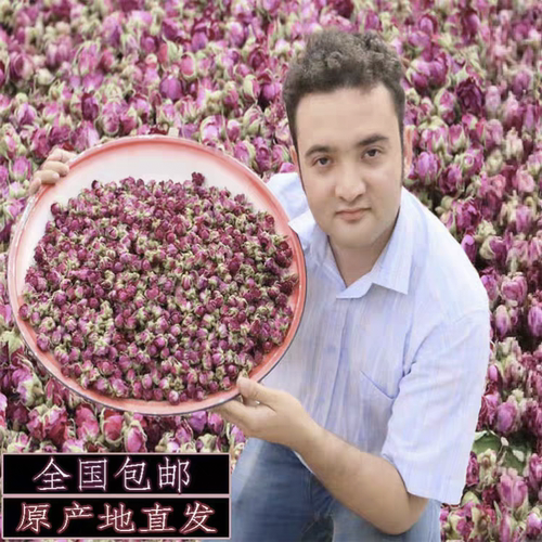 新疆和田沙漠重瓣红玫瑰花蕾