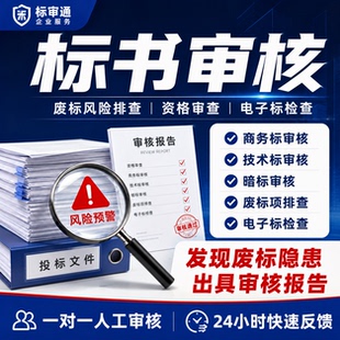 标书审核 投标文件审核 废标风险排查 资格审查 电子标检查
