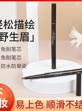 柏贝妮双头眉笔 跨境三角头防水防汗持久不脱色不晕染新手野生眉