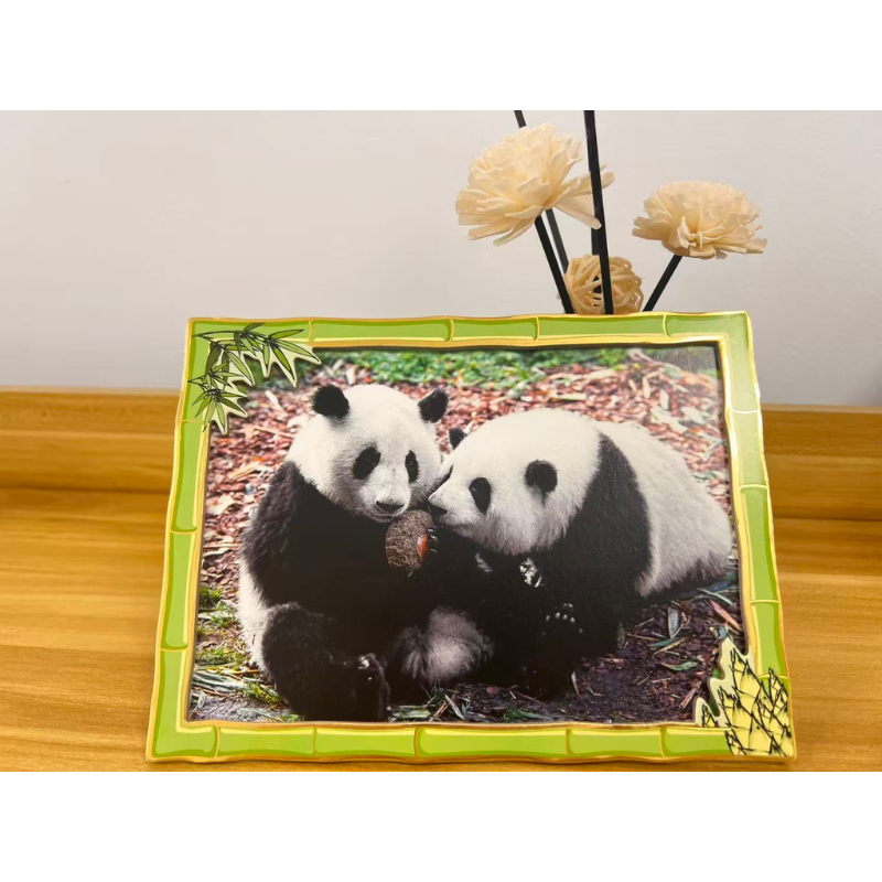 当萌兰遇到花花口袋画册知识科普明信片  花花 萌兰明星大熊猫的生动瞬间 可DIY的大熊猫照片冰箱贴,书籍/杂志/报纸,摄影艺术（新）,淘宝优惠券,粉丝福利购,淘宝优惠卷