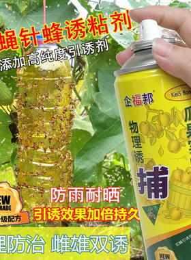 果园菜地瓜棚果蝇捕杀针蜂诱粘