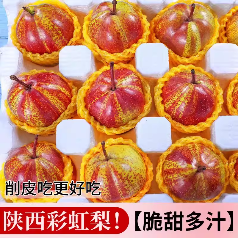 大果陕西彩虹梨新鲜降火清热去火水果脆甜香酥梨子当季现摘现发5J