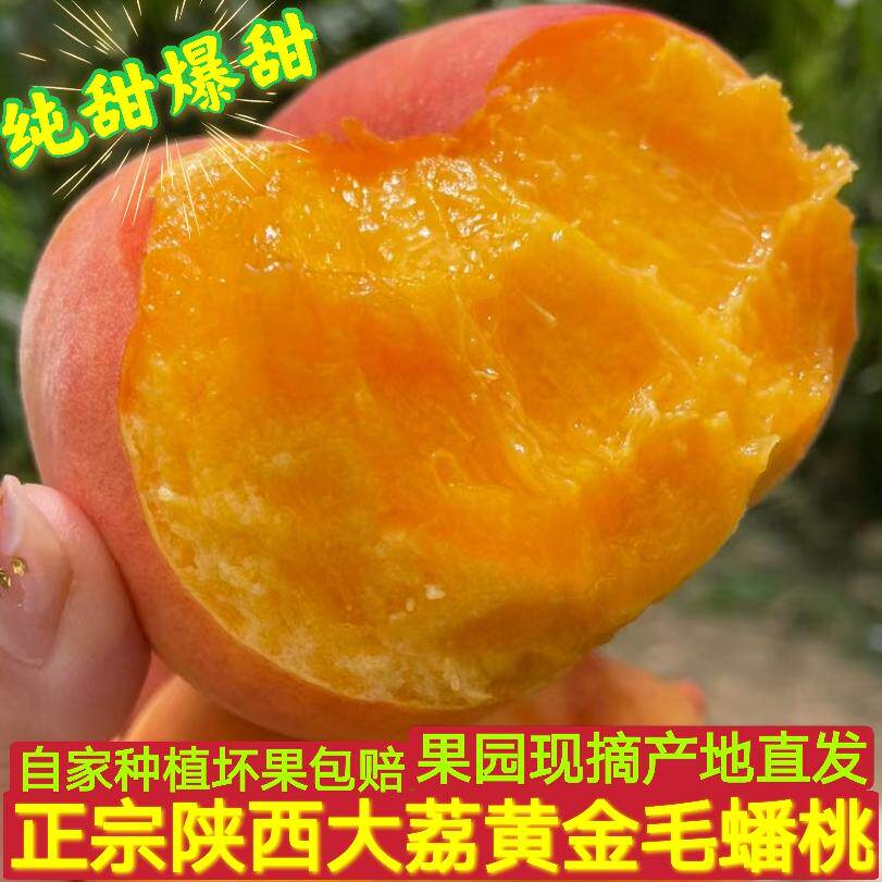 陕西大荔黄金毛蟠桃新鲜水果桃子桃