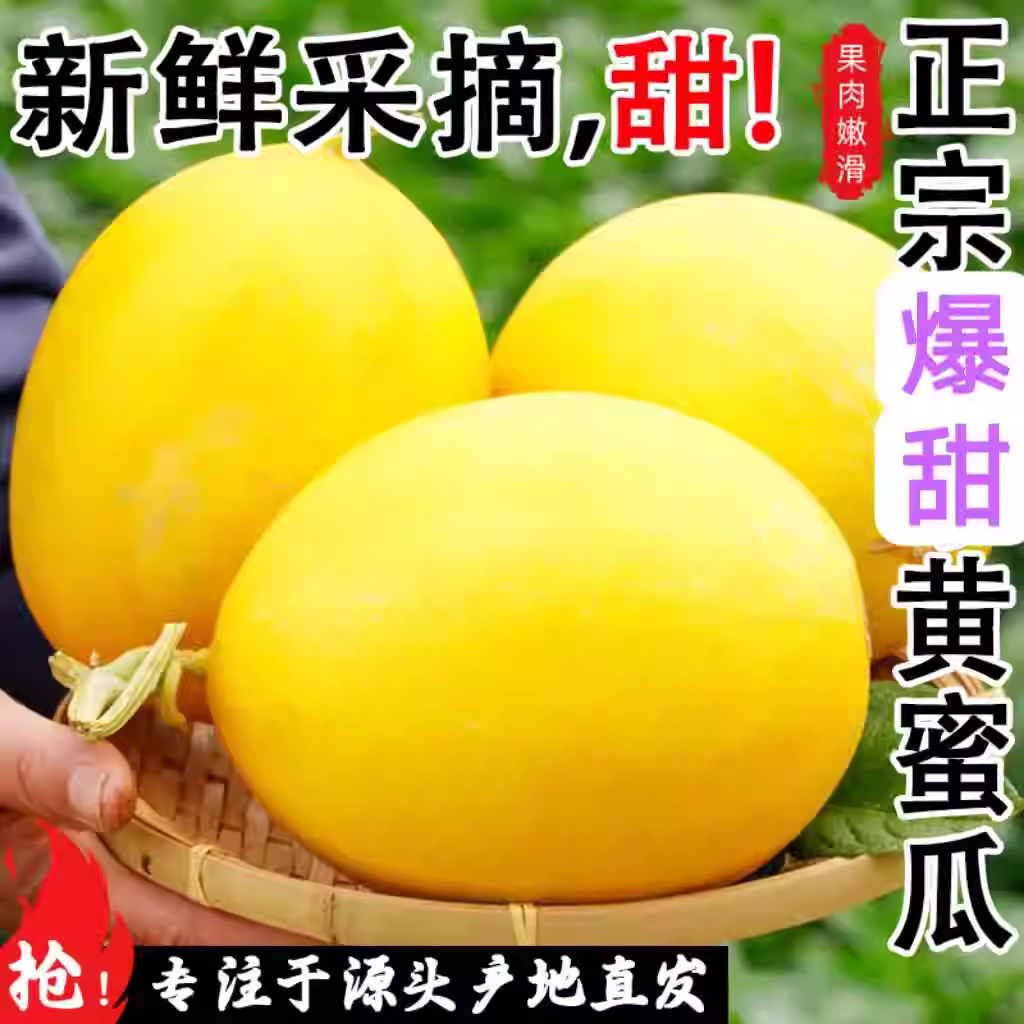 脆甜大果哈密瓜黄金蜜瓜黄河蜜水甜瓜