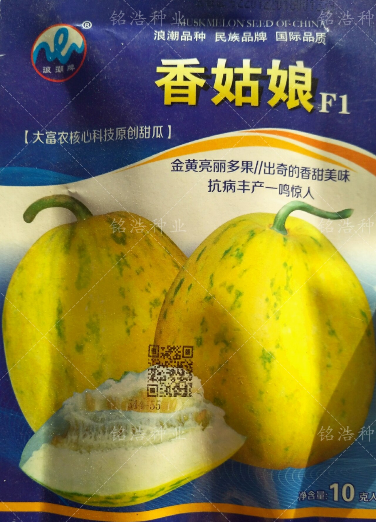 甜瓜种子籽香瓜密种籽春夏秋季水果早熟高产抗病特大超种孑香姑娘