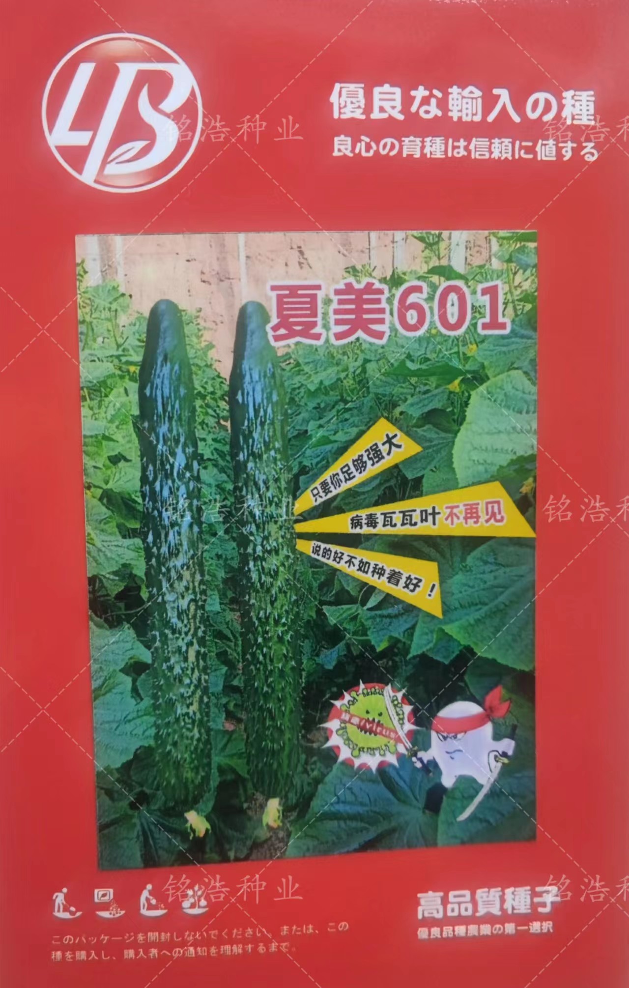 高產抗病毒油亮耐熱強雌