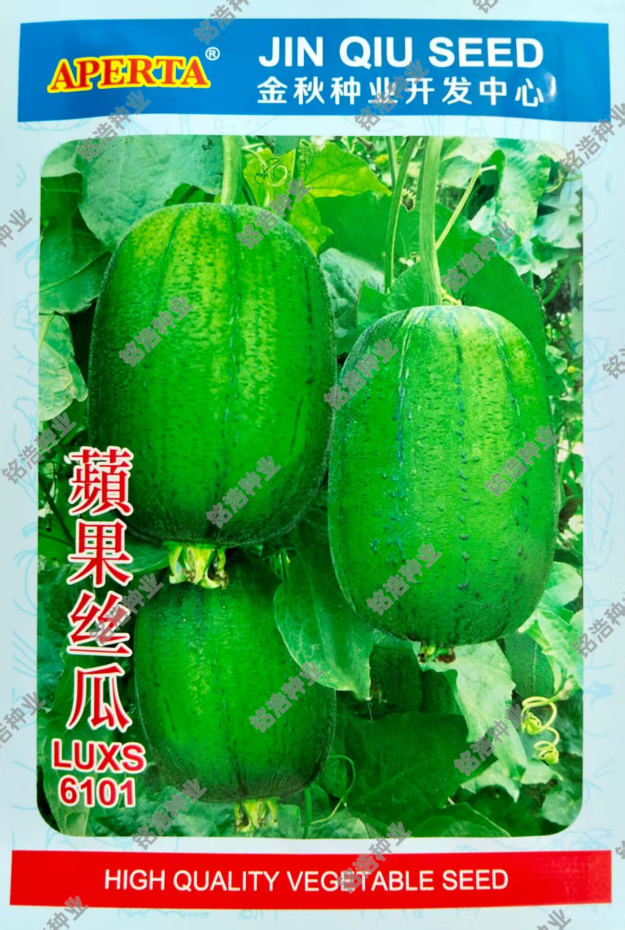 农友苹果丝瓜种子菜瓜种籽子盆栽籽种蔬菜菜籽孑菜种水瓜高产耐热