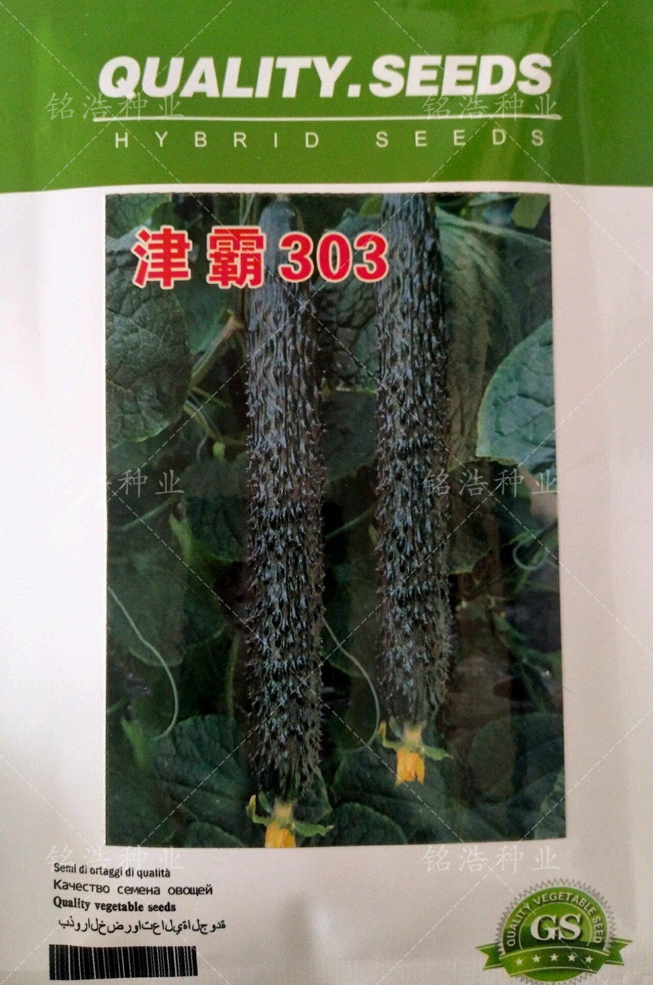 高产黄瓜种子强雌品种