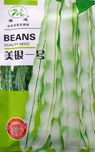 无筋九粒白种子菜芸豆籽搭架豆角四季豆蔬菜孑春秋季农家美银一号 - 封面