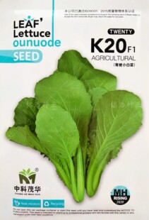 青梗菜杂交种子青帮速生小白菜小青菜油菜蔬菜种籽春夏秋四季K20