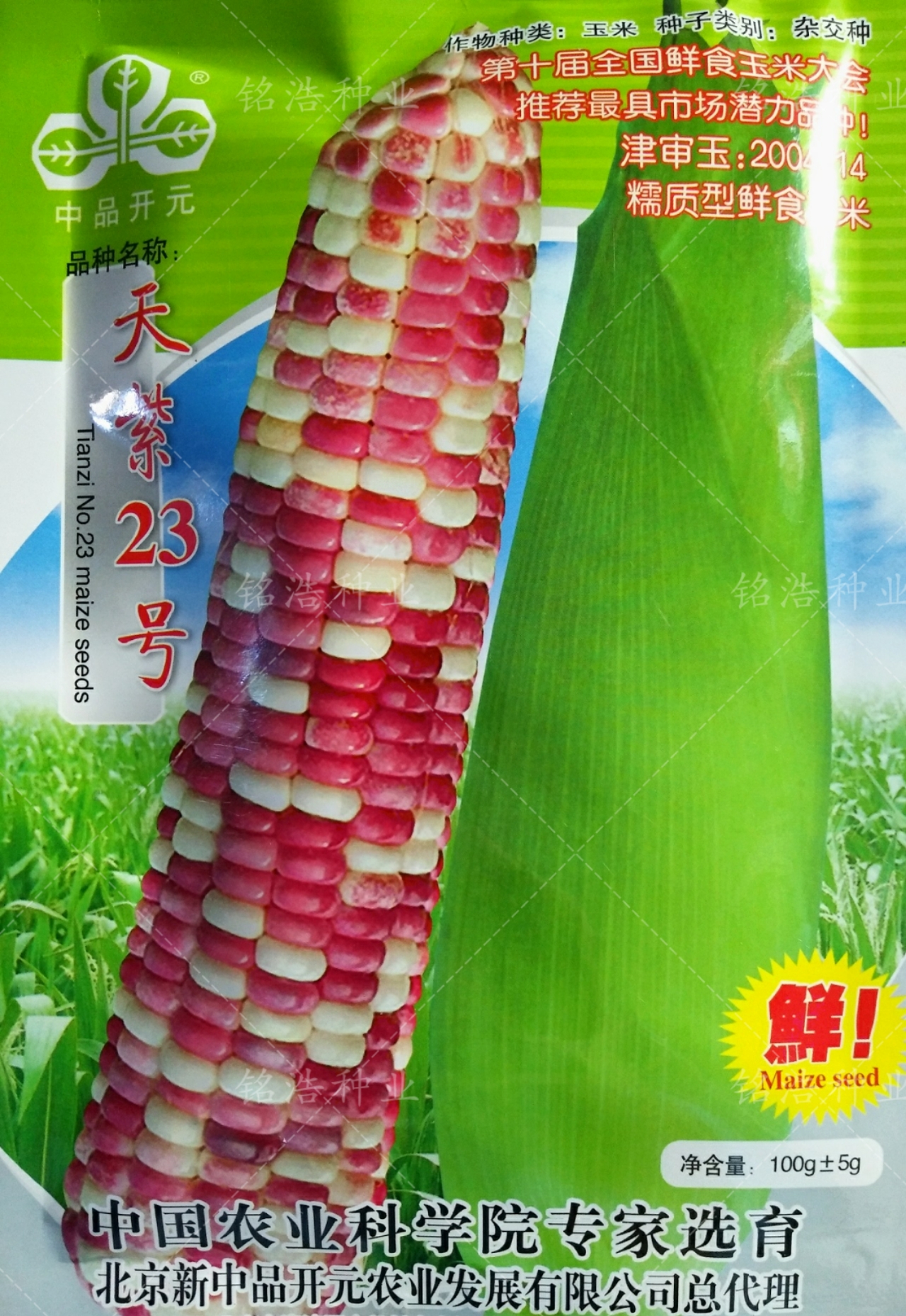 红白彩糯玉米种子鲜食粘甜糯春季播种香味浓加甜糯玉米籽天紫23号
