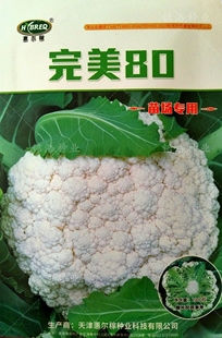 小米粒松花菜种子基地花菜籽花椰菜春秋季播蔬菜孑农家大面积用80
