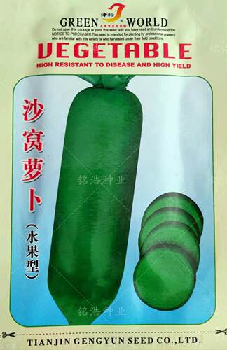 天津水果沙窝萝卜种籽青绿皮肉质翠绿口感甜脆春秋季四季蔬菜种子