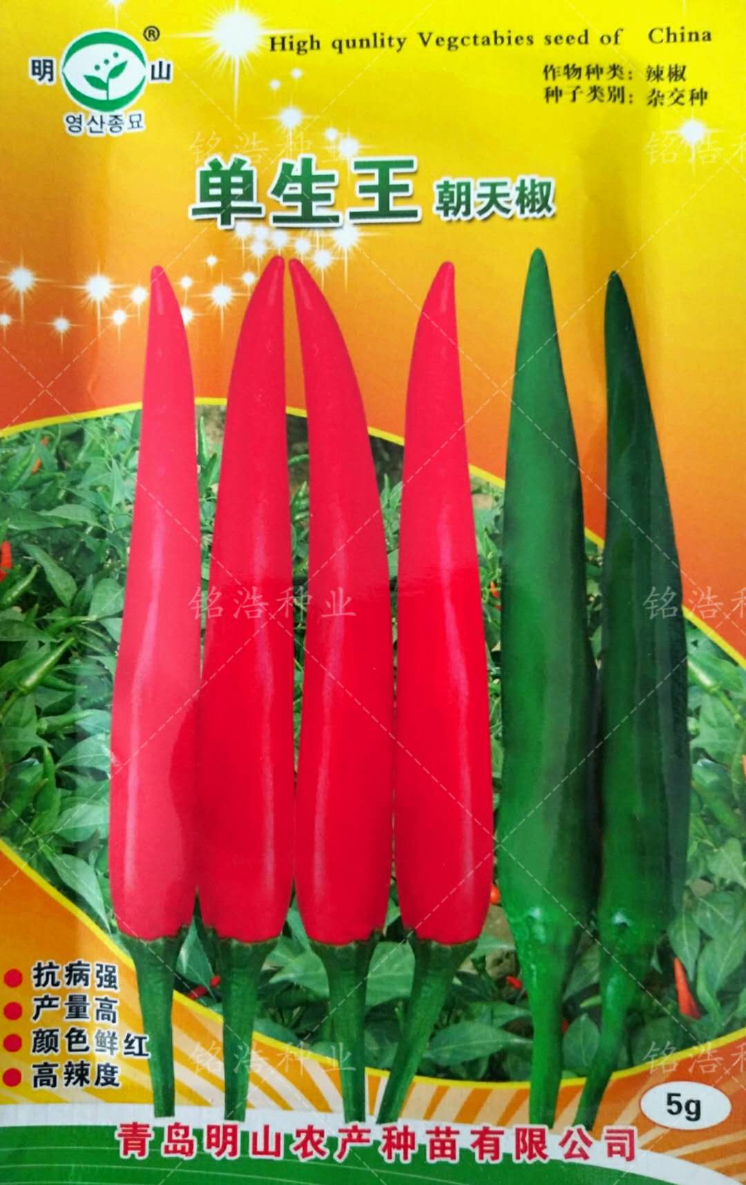 大面积种植朝天椒种子农家菜园高产超辣蔬菜籽春四季大田阳台盆栽