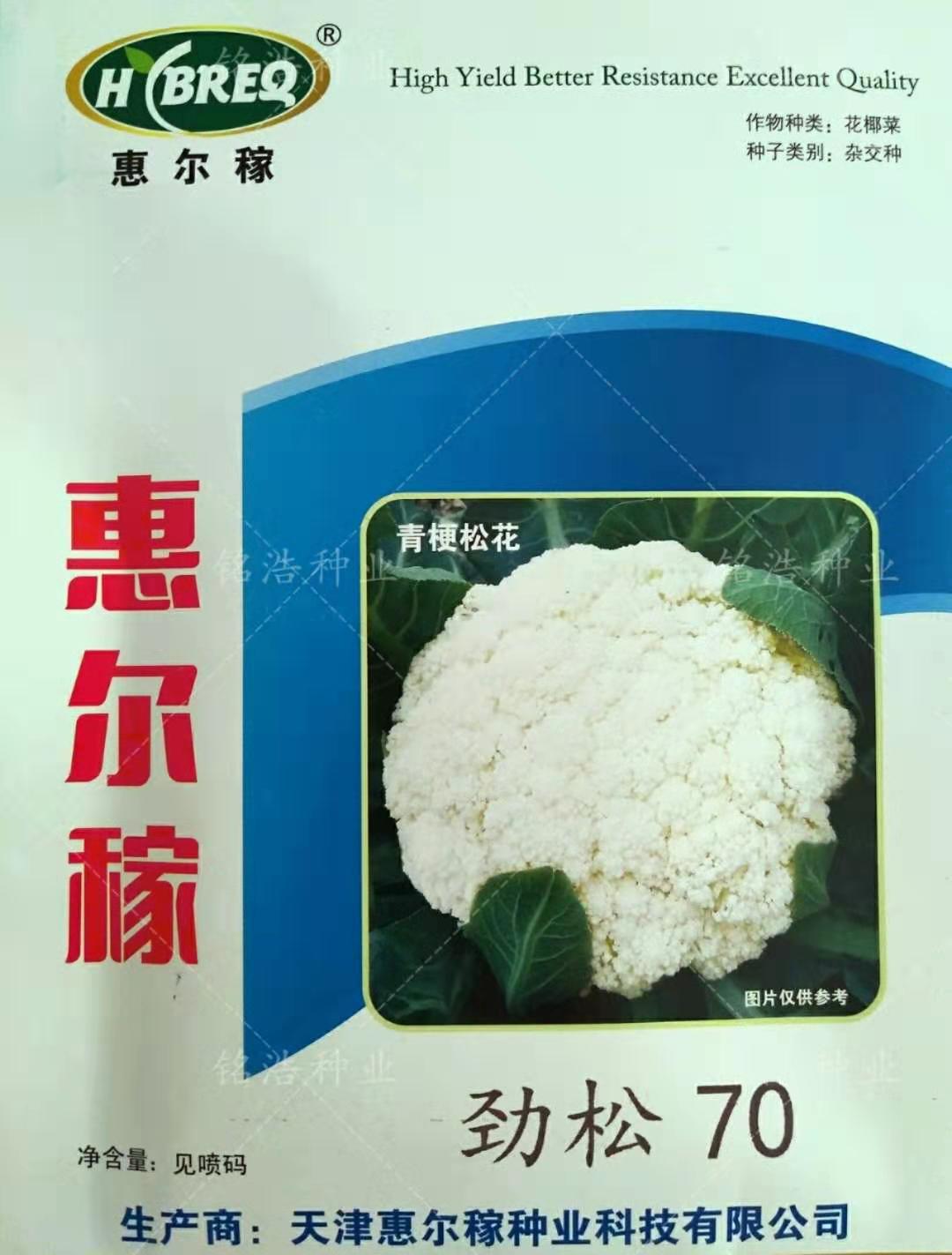青梗松花菜种子高产花菜籽花椰菜秋季播蔬菜孑农家大面积用劲松70