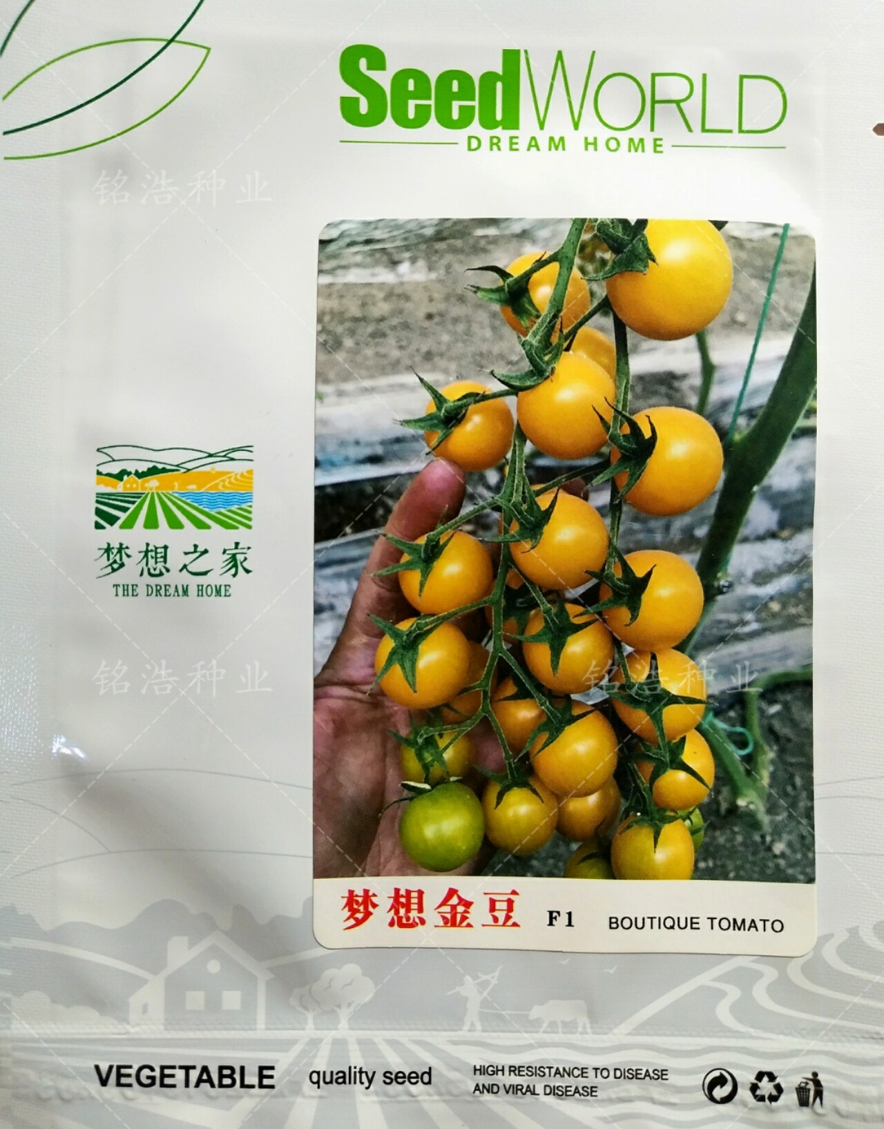 小黄番茄种子特色番茄籽口感好糖度高大面积春秋季越冬种梦想金豆