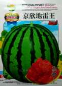 西瓜种子京欣地雷王西瓜冰糖麒麟瓜种籽农业菜园田园阳台水果种子