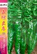 螺丝椒种子香辣早熟抗病薄皮尖椒超辣春秋季 栽辣椒蔬菜籽美螺至尊