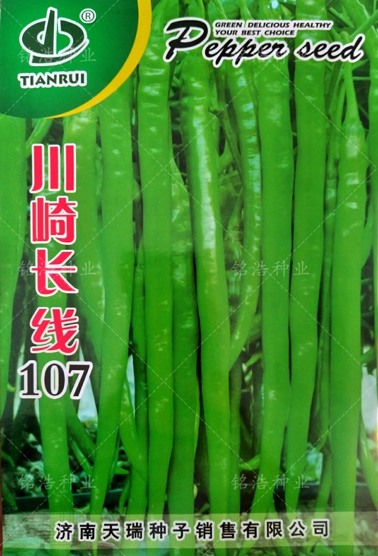 线椒种子辣椒种籽高产早熟抗病春秋季种植蔬菜孑超辣川崎长线107