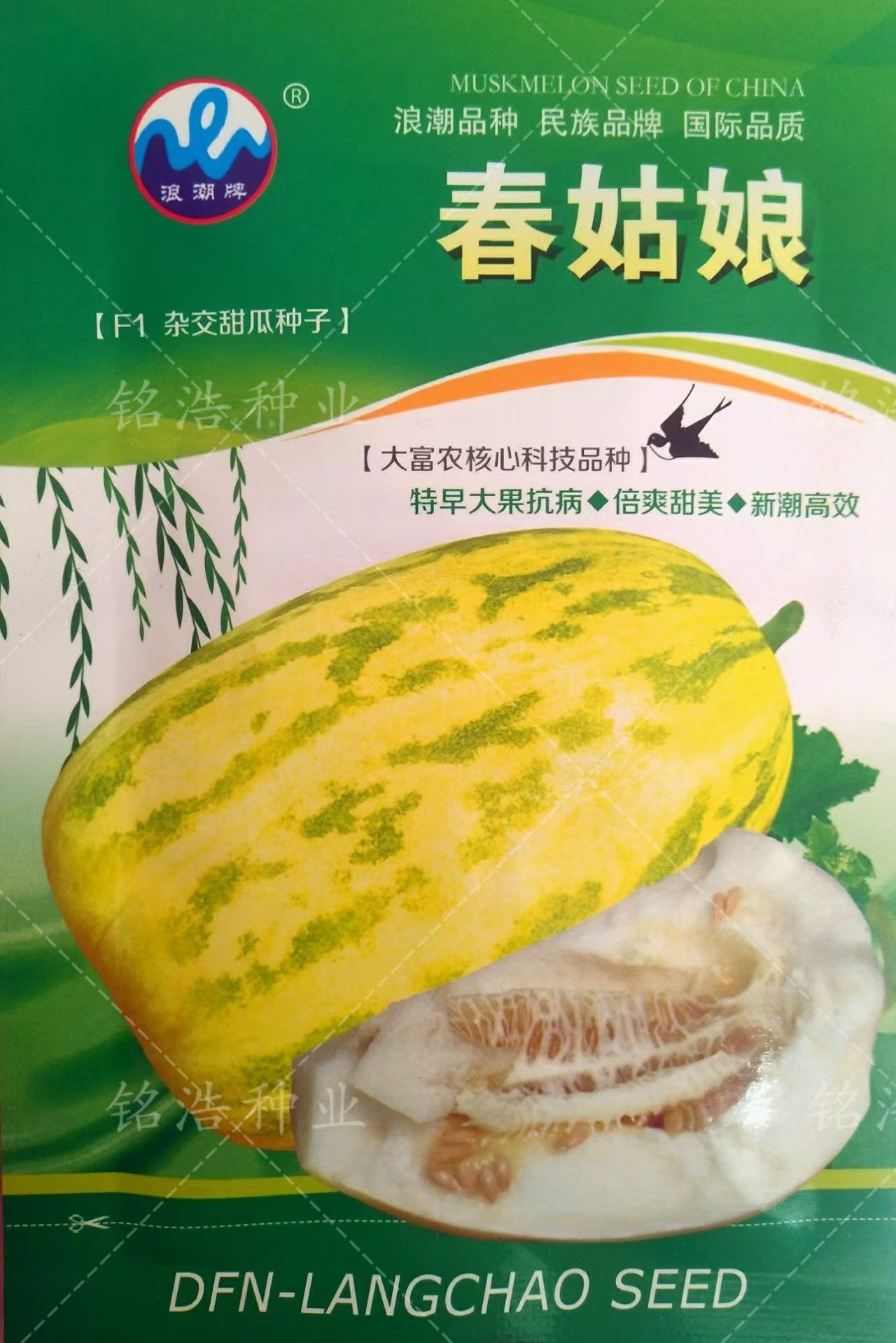 黄皮白肉甜瓜种籽子酥脆香甜瓜早熟高产抗病春夏季播水果孑春姑娘