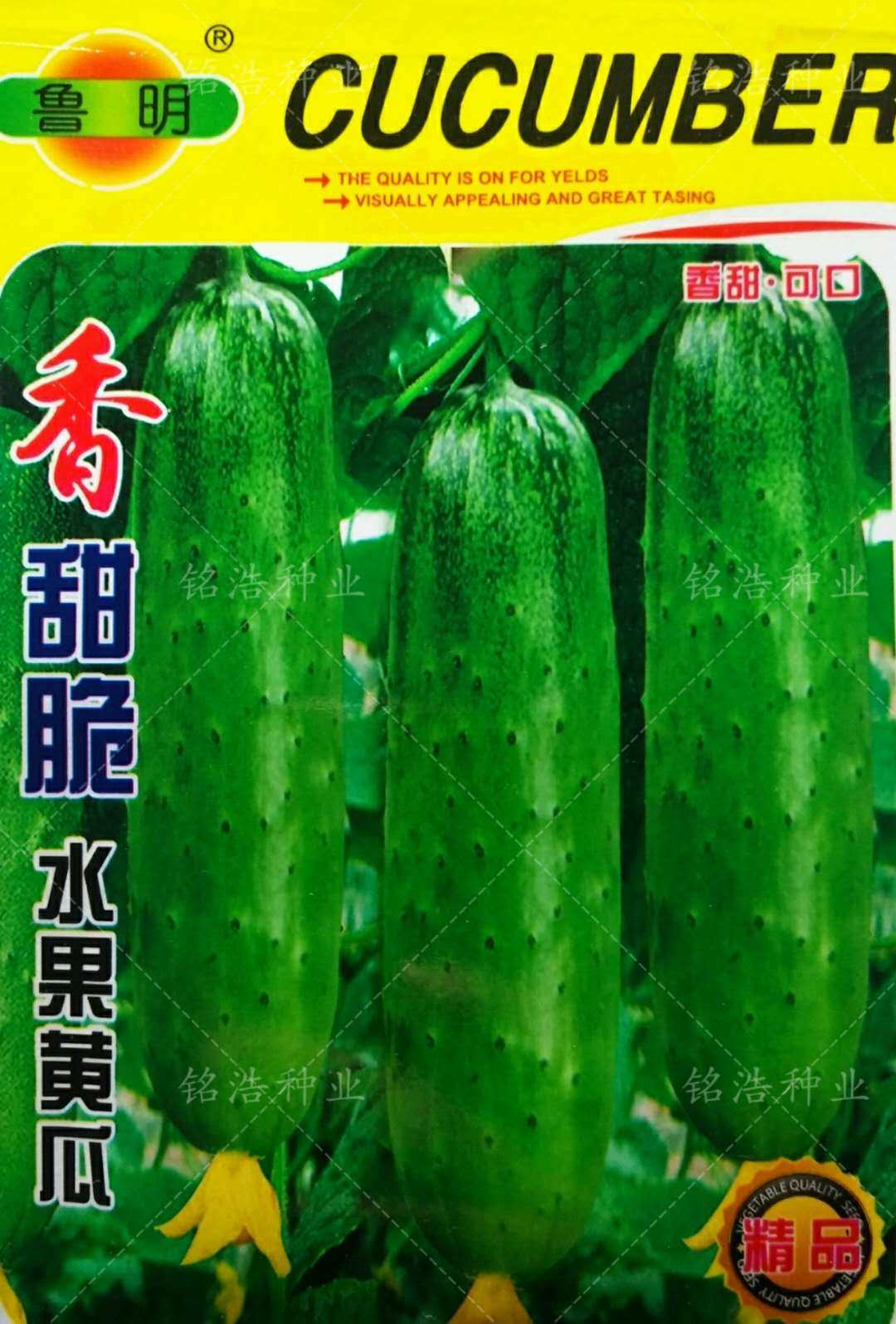 香甜脆水果黄瓜种子四季播高产小旱瓜果籽秋黄瓜菜园庭院阳台盆栽,农用物资,蔬菜种子/种苗,淘宝优惠券,粉丝福利购,淘宝优惠卷