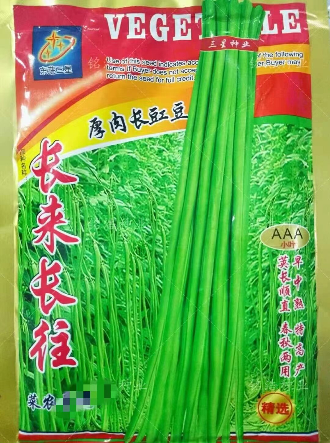 翠绿条豇豆种子特长高产