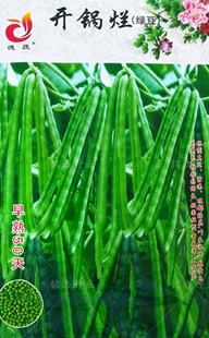 早熟开锅烂绿豆种籽发豆芽专用绿豆绿豆汤豆粥发绿豆芽芽苗菜种子