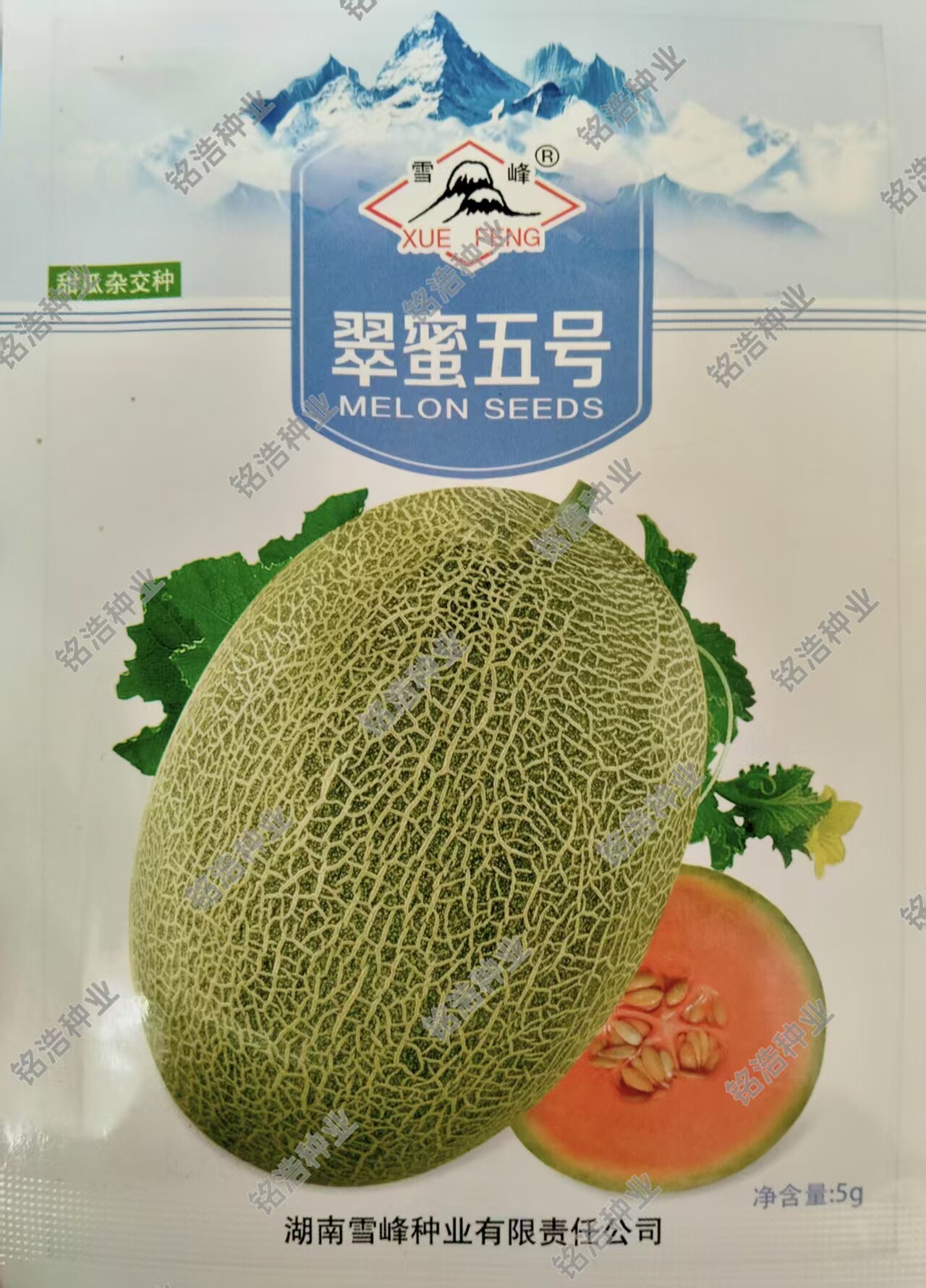 网纹甜瓜种子肉脆椭圆甜瓜种籽香瓜超甜春夏季水果蔬菜孑翠蜜五号