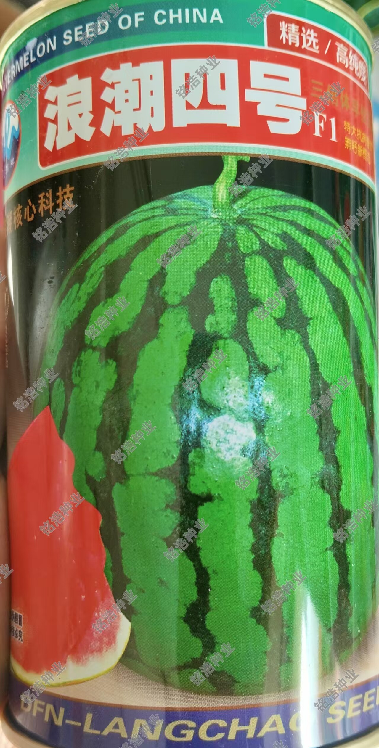 花皮无籽红瓤大西瓜种子水果超甜种籽农家基地春季瓜种孑浪潮四号