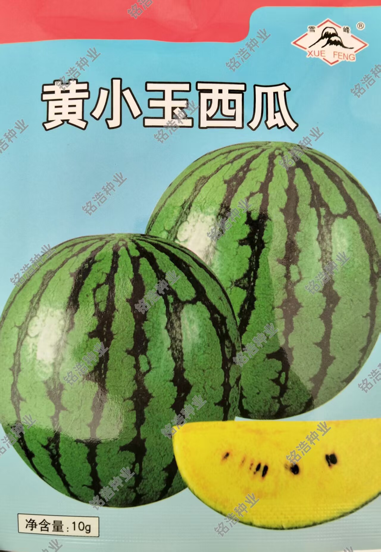黄小玉花皮黄瓤杂交圆形西瓜种子水果超甜种籽阳台基地春季瓜种孑