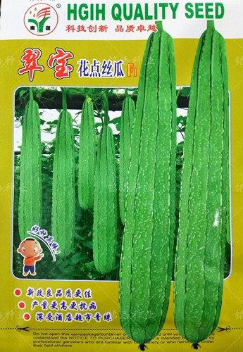 农家花点棱丝瓜八角丝瓜种子高产丝瓜种籽四季种农家特长丝瓜翠宝