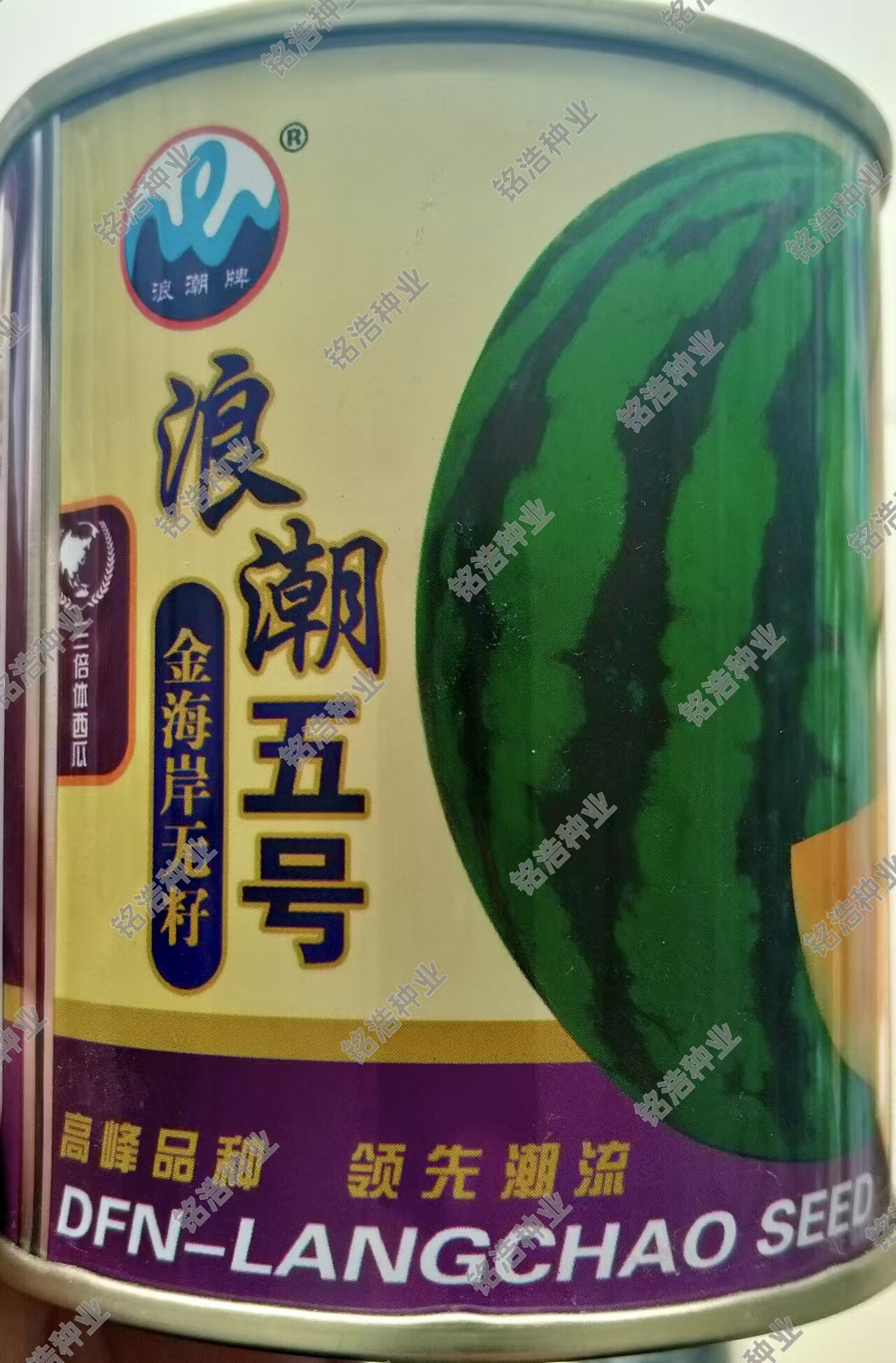 花皮黄瓤无籽大西瓜种子超甜春夏季懒汉南方种籽水果种孑浪潮五号