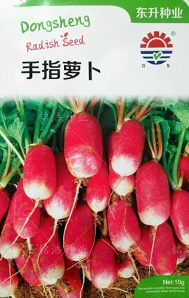 樱桃手指萝卜种子香肠萝卜农家基地田园春秋季播红皮高产蔬菜种籽