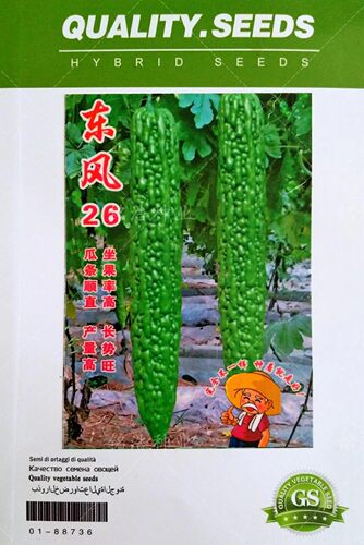 早熟蔬菜种子疙瘩绿苦瓜籽四季耐热耐低温抗病东风26杂交苦瓜种孑