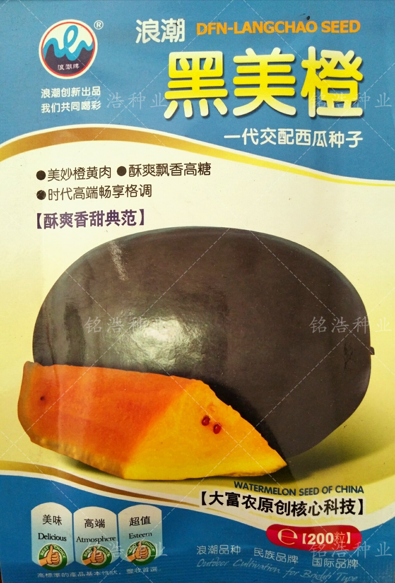 酥爽多汁香甜耐旱耐湿