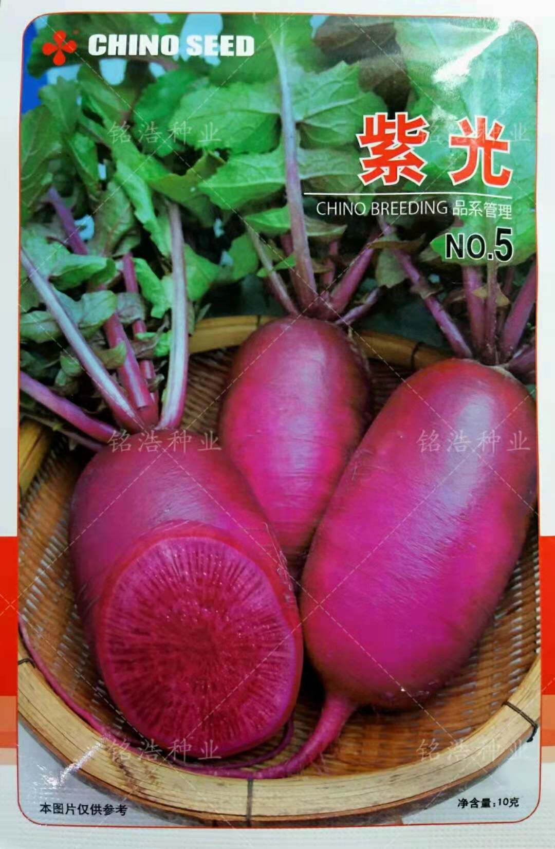杂交紫水萝卜种子皮紫肉紫生吃不糠心酥脆爽口抗病秋播蔬菜籽紫光