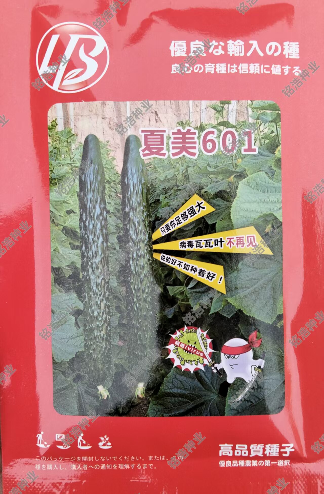 黄瓜种子强雌高抗瓦瓦叶高产抗病毒油亮耐热越夏大棚露天夏美601