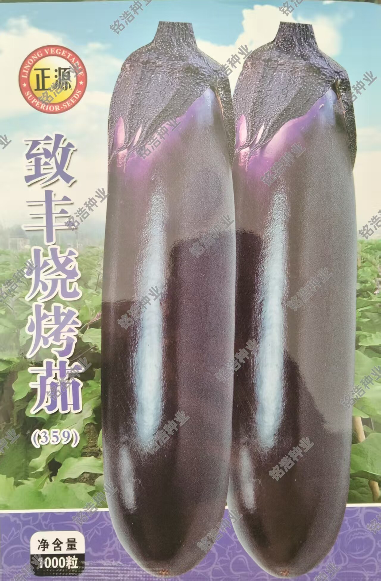 紫把长茄蔬菜种孑种籽春秋冬四季播种子籽顺直适合烧烤致丰烧烤茄