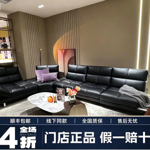 纳图兹意迪森Roma全系正品沙发