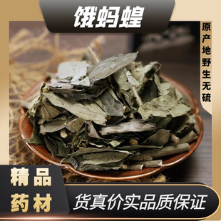 中药材精选正品饿蚂蟥草野生山旱蚂蝗草红掌草豆子草另有独脚金