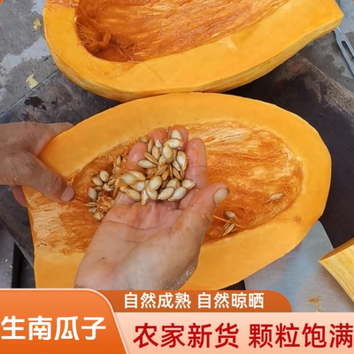 南瓜子大颗粒散装盐焗原味