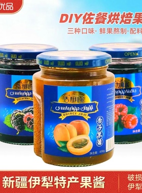 新疆特产伊犁果酱树莓杏子桑葚果肉酱酸奶粽子甜品蘸酱面包夹心酱