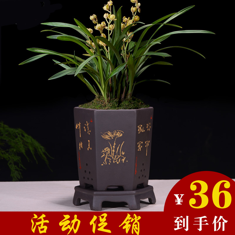 宜兴六方兰花室内阳台紫砂花盆