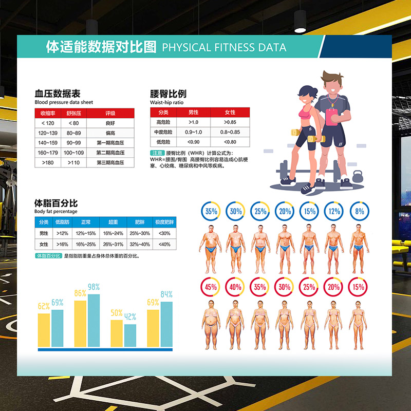 体适能数据体脂对比图墙贴肌肉图