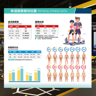 体适能体脂数据对比图墙贴健身私教体测评估表肌肉结构示意壁画纸