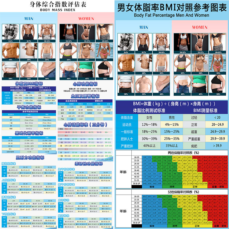 健身房瑜伽馆壁画体态评估体脂BMI姿势体适能肌肉脊柱指标表墙纸,家装主材,定制壁画,淘宝优惠券,粉丝福利购,淘宝优惠卷